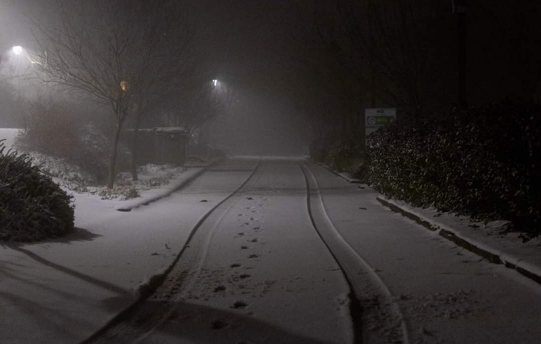 Wassem qeadan tweet media