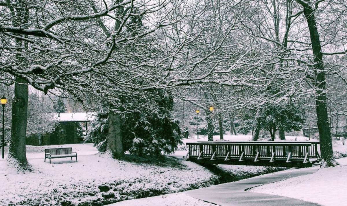 CoEHPH's tweet photo. Weather UPDATE!  USC Upstate and SoEHPH students will finish the week VIRTUALLY!  Check with your faculty members and on Blackboard... stay warm and cozy through the rest of the week! #uscupstate https://t.co/4BcPDun3ye