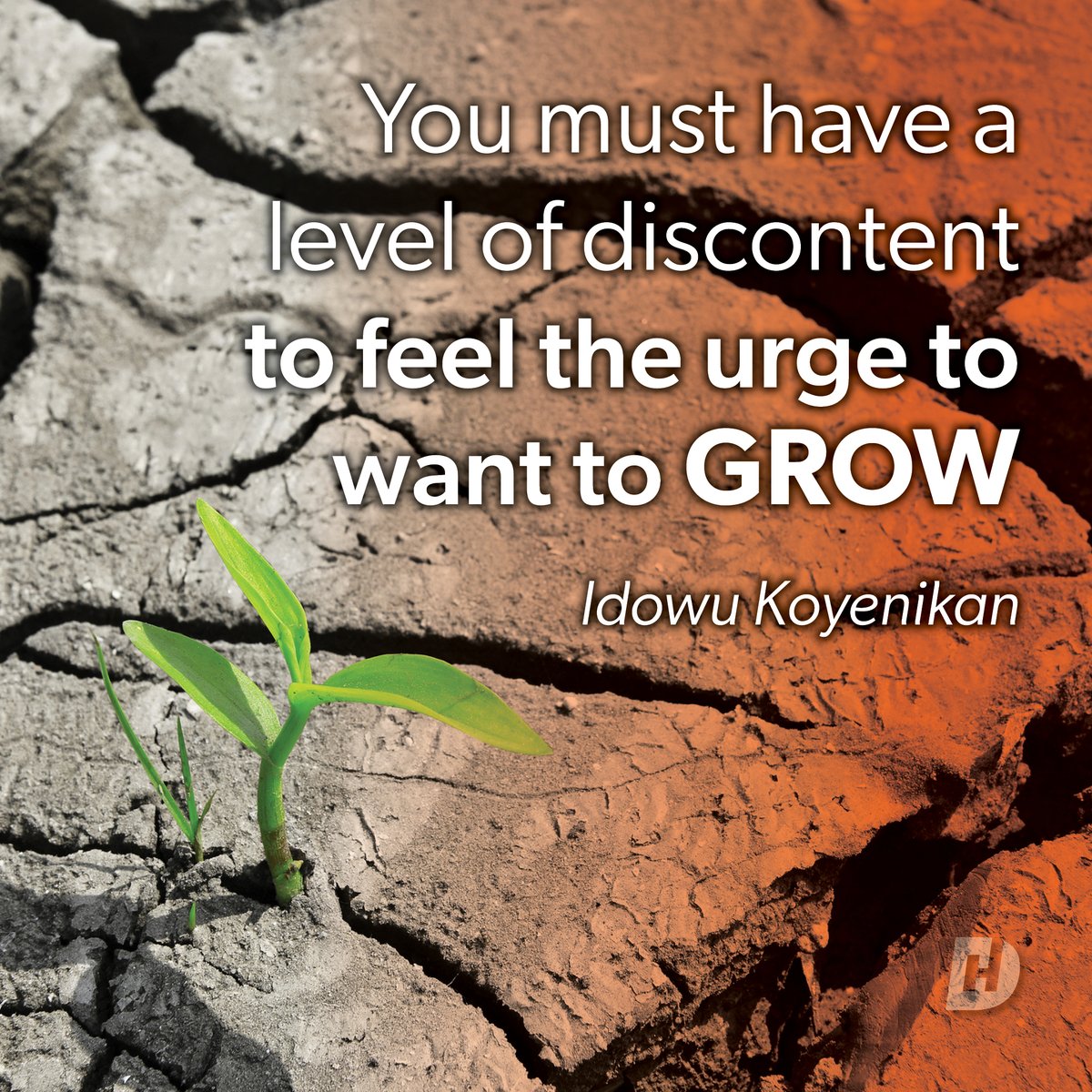 dwayneholland's tweet photo. While circumstances can make you uncomfortable they can also provide a great opportunity for positive change and growth, for both you and your business.

Don't stay put. Allow your pain to motivate you to move forward. It's time to dig deep, discover, persevere and grow. https://t.co/cV3GmRGBTl