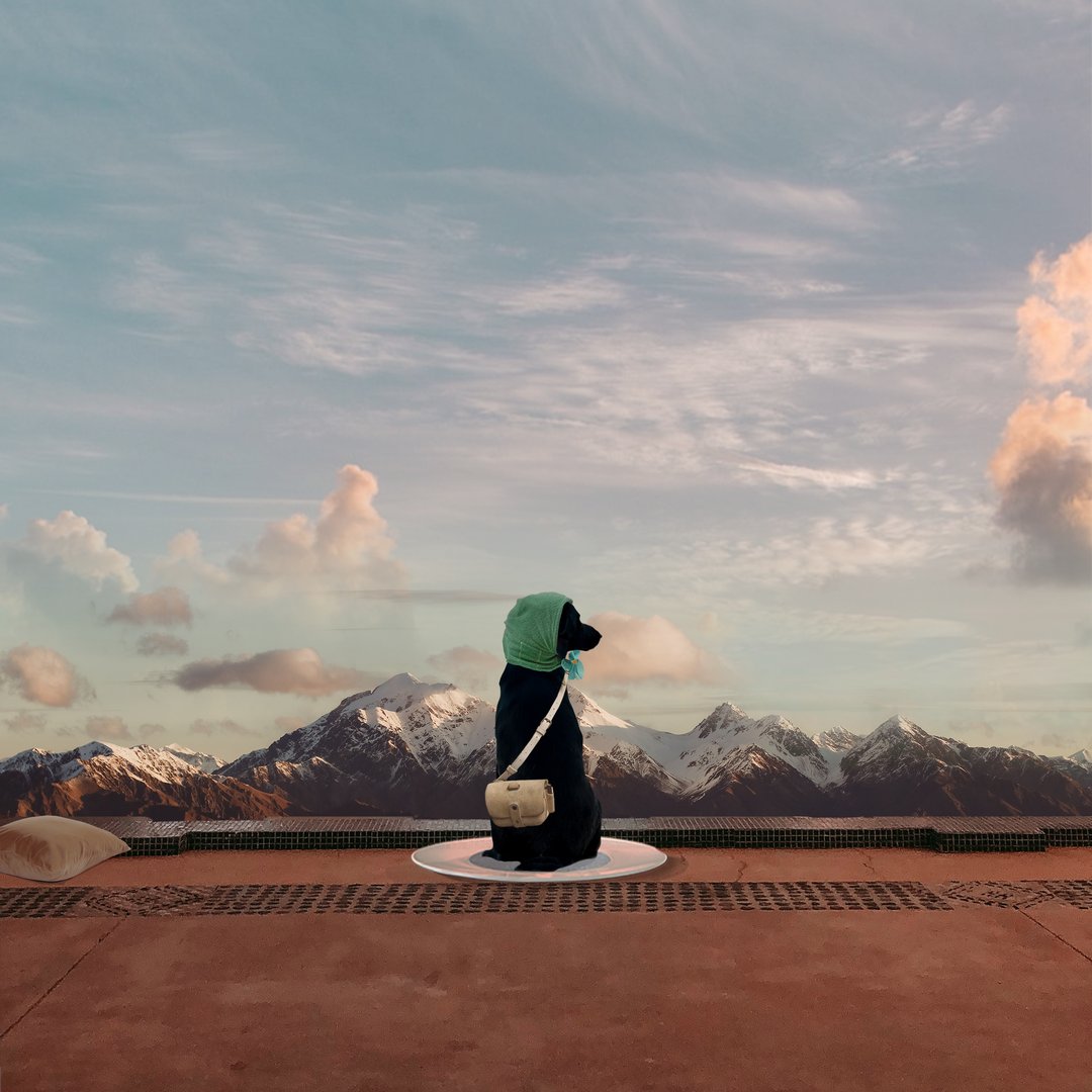 Yerba Mate NFT Club 🧉 (@yerbamatenft) on Twitter photo 🚨 Mañana es el mint de <a href="/a_wandering_dog/">A Wandering Dog 🐾 - Minting is live</a>
Y tenemos 5 tokens AWD para sortear 🥳
Con un token AWD podrás participar del pre-adoption (Whitelist), antes del minteo público 🐕
¿Cómo participar?
✅Seguir a <a href="/a_wandering_dog/">A Wandering Dog 🐾 - Minting is live</a> y <a href="/YerbaMateNft/">Yerba Mate NFT Club 🧉</a>
✅RT & Like
¡Mañana sorteamos!
#NFT 🚨 Mañana es el mint de <a href="/a_wandering_dog/">A Wandering Dog 🐾 - Minting is live</a>
Y tenemos 5 tokens AWD para sortear 🥳
Con un token AWD podrás participar del pre-adoption (Whitelist), antes del minteo público 🐕
¿Cómo participar?
✅Seguir a <a href="/a_wandering_dog/">A Wandering Dog 🐾 - Minting is live</a> y <a href="/YerbaMateNft/">Yerba Mate NFT Club 🧉</a>
✅RT & Like
¡Mañana sorteamos!
#NFT