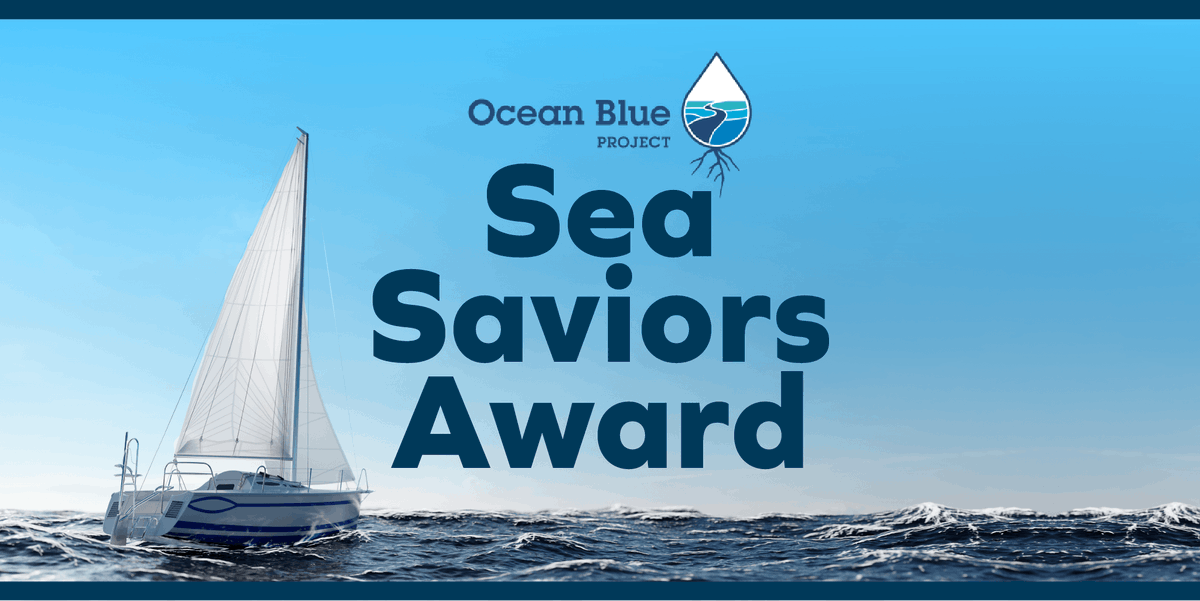 GOANSWER's tweet photo. We are thrilled to be a recipient of the @oceanblueproject Sea Saviors Award! In partnership with their organization, Go Answer has contributed to the recovery of 2,000 pounds of plastic and debris from the ocean in 2021. #SeaTheChange #SaveTheWaves https://t.co/lBqBpYRcDF