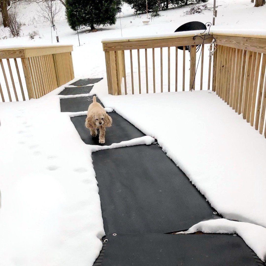 HeatTrak's tweet photo. Why not make everyday #WarmPawsWednesday? Heated mats keep your pets warm and your paths clear. With #HeatTrak your pet will thank you, and you can thank us later!
Start melting the snow and ice on your walkways by visiting our website at https://t.co/uCxK5ACOP3 https://t.co/loB0jTphkZ