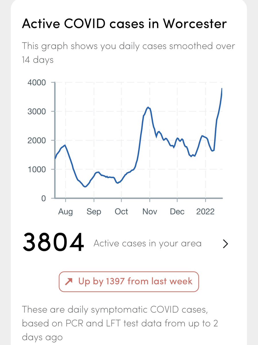 Becky J 🇪🇺🦒 tweet media