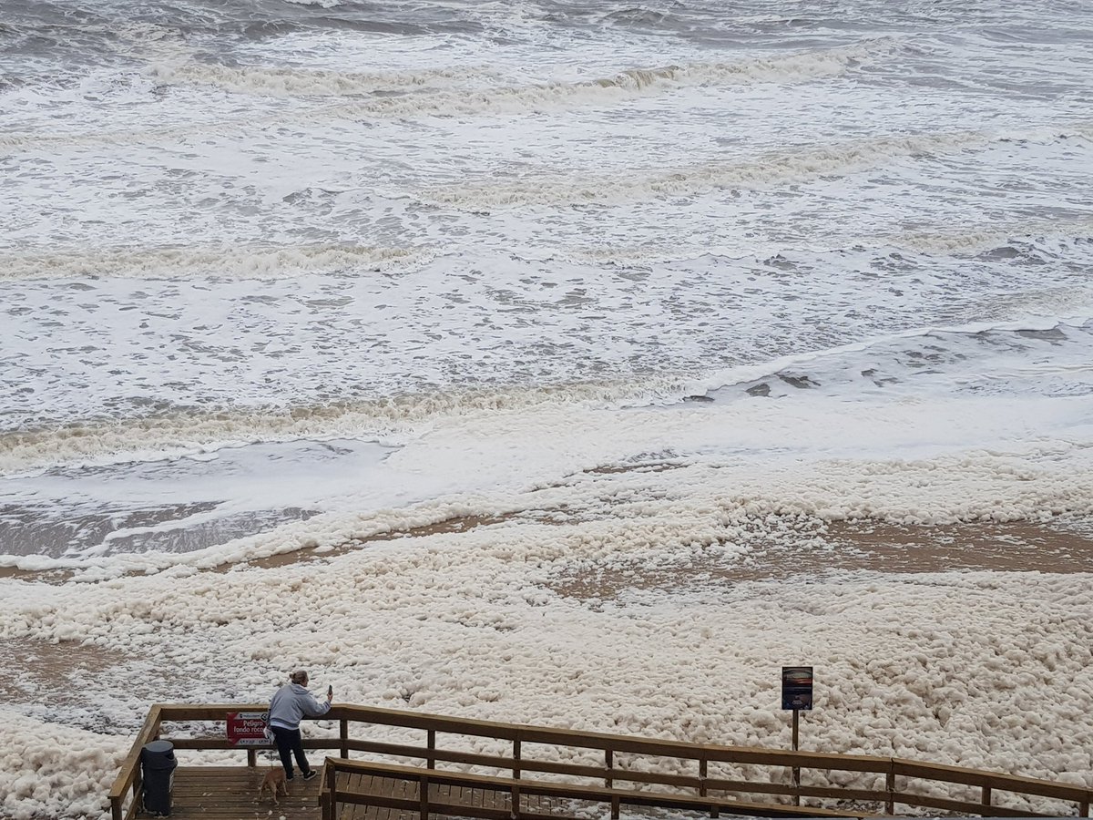 alexiscadimar's tweet photo. #AHORA panorama en playas de la zona... #ElEmir #PuntadelEste #espuma https://t.co/PMGJKcnEyP