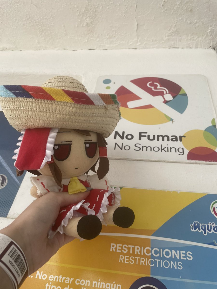 _FumoReimu's tweet image. No fumar #東方Project