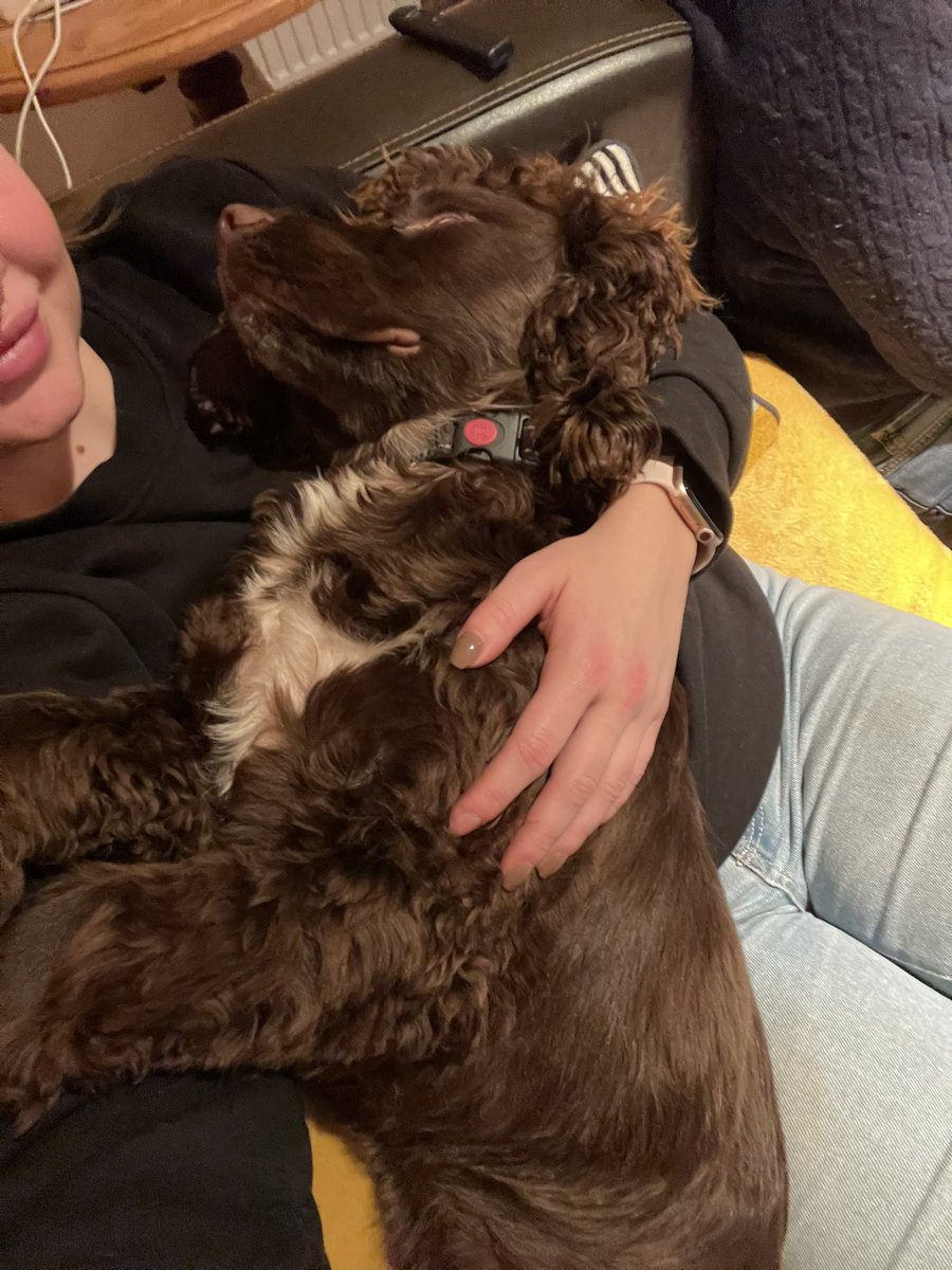 Afterlife is just incredible, my favourite series ever. So grateful to have my Bowie to cuddle with for this 3rd series
<a href="/rickygervais/">Ricky Gervais</a> - thank you. 
PS, dogs certainly do save lives 🤍