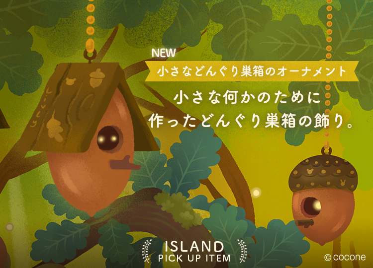 PICK UP①！👇 どんぐりの形の「小さな光が入った瓶」は、とっても澄ん