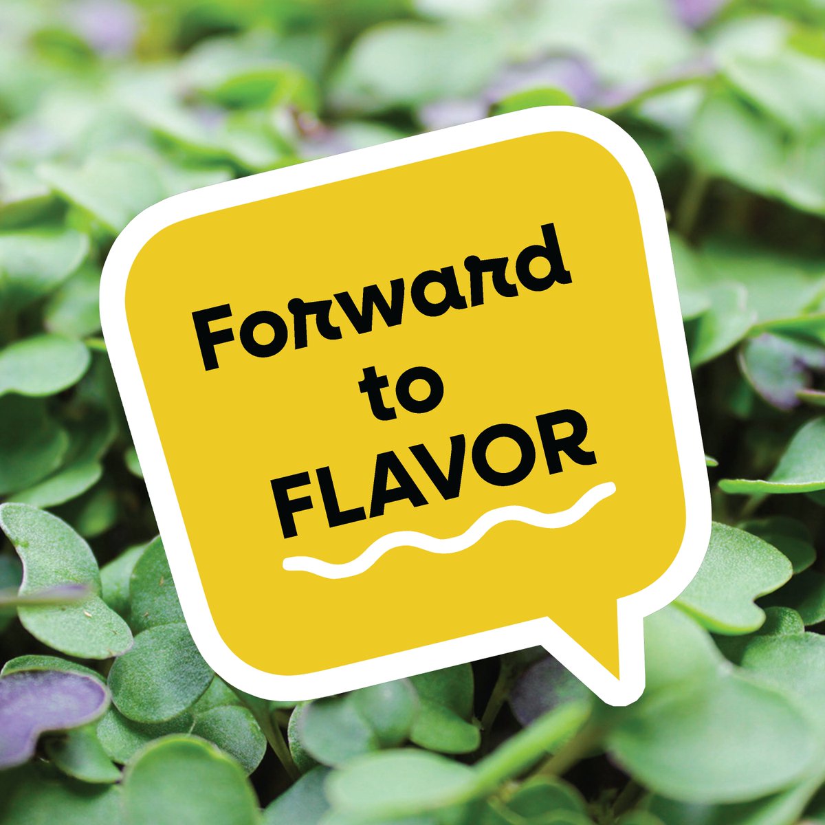 ForwardGreens's tweet photo. We grow year-round. Growing indoors means we grow the freshest greens regardless of the season. We also control every aspect of our environment, from temperature and humidity to lighting and airflow. Amazing stuff! Taste the difference with a VIP Coupon at https://t.co/B6v0AjnmlO https://t.co/pJ296jiTCB
