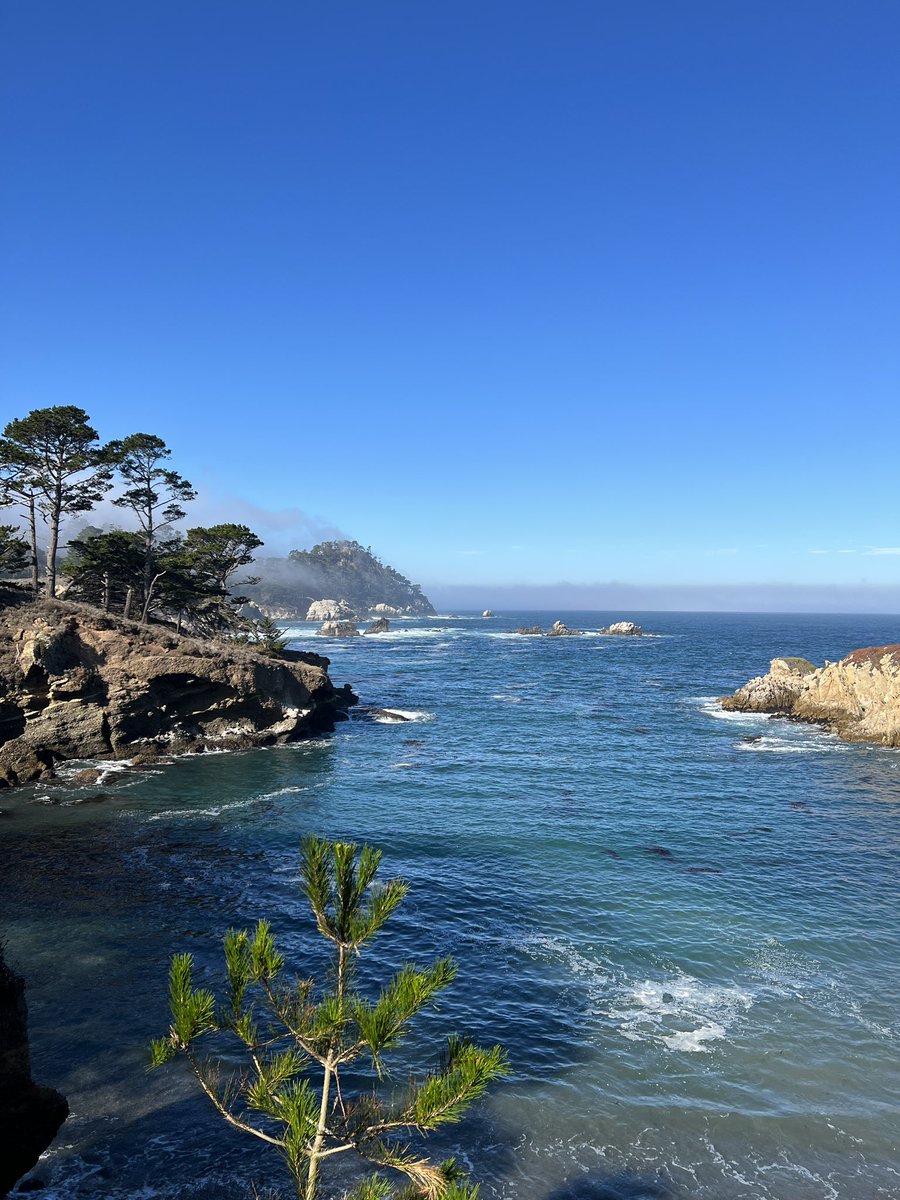 drebmann's tweet image. Seriously craving the ocean this week. It may be time for another road trip to @SeeMonterey