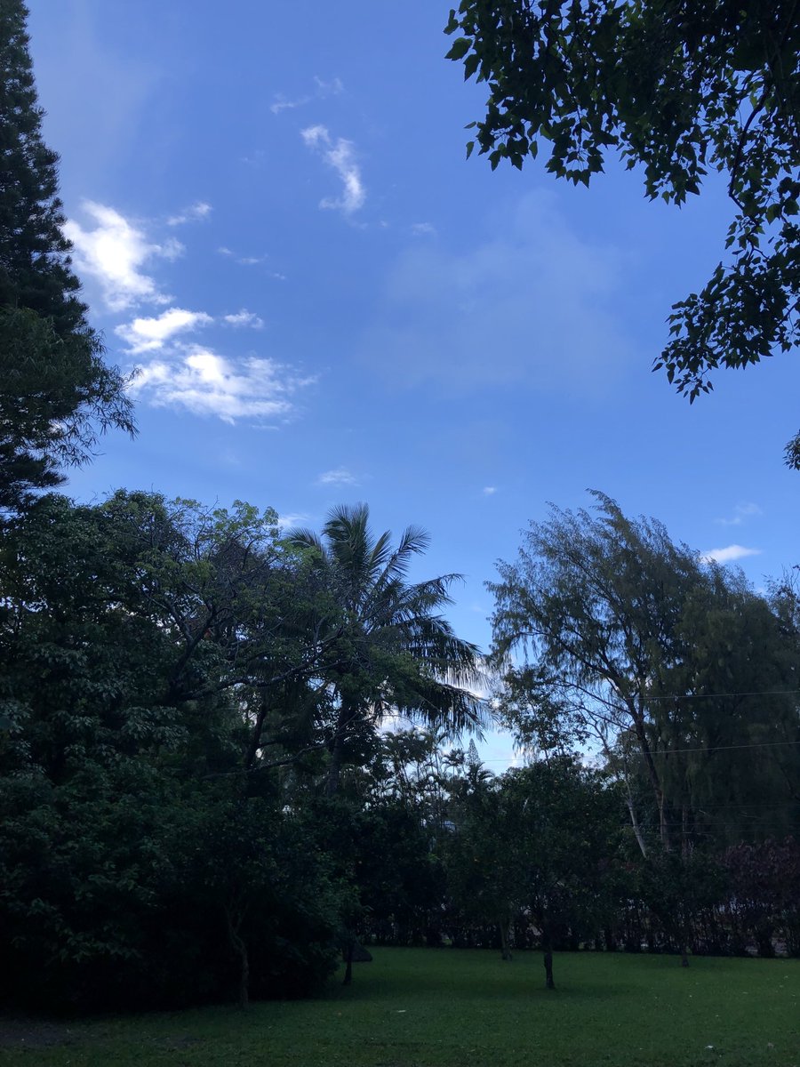 test Twitter Media - Partly cloudy skies over haiku, cool and calm. #CMWeather #Maui #Haiku #MagicalMaui #MauiNoKaoi https://t.co/NZBEghTDM7