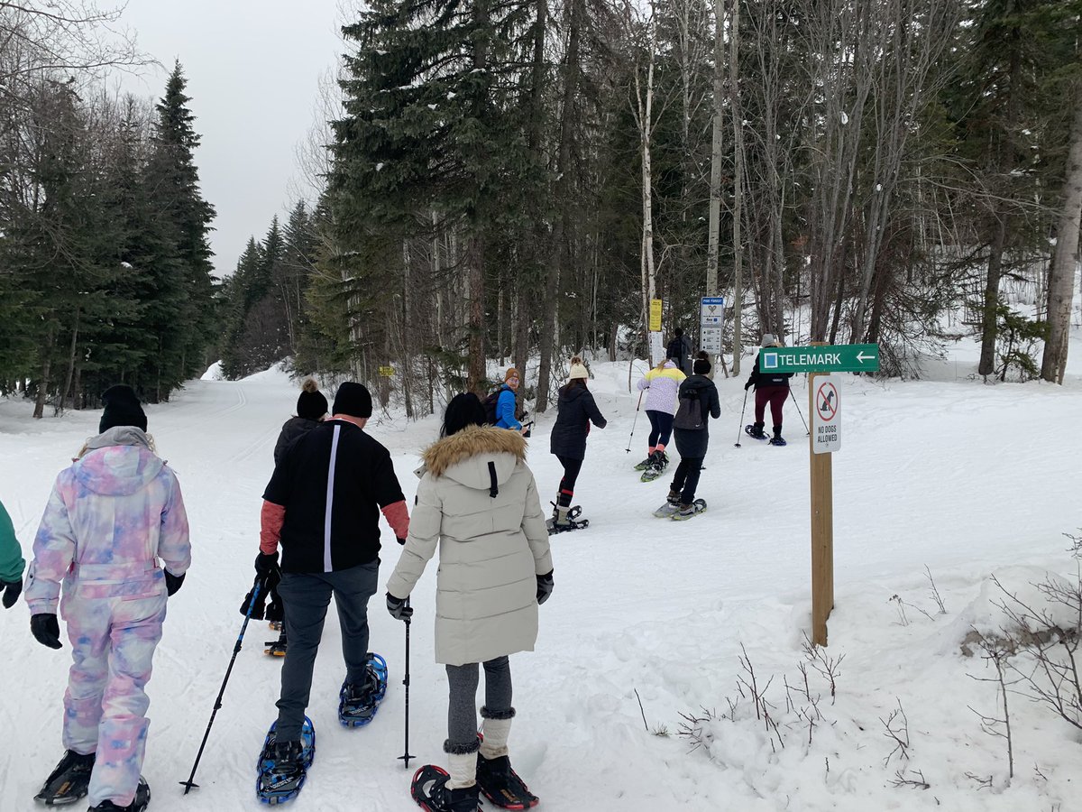 Jesse Bruce tweet media