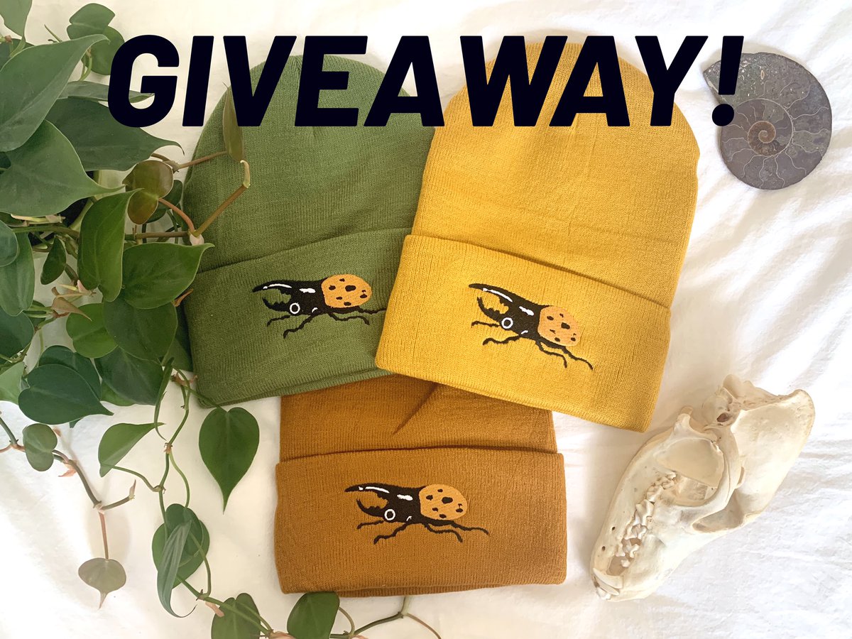 ✨ BEETLE BEANIE GIVEAWAY! ✨ Thank you all so much for 40k!! As a thank you, I’ll be giving away 3 Hercules beetle beanies! 🪲✨ HOW TO ENTER: 🌱 Follow me! 🌱 RT this post! Open worldwide 🌎, ends 1/23 at 12 pm PST!