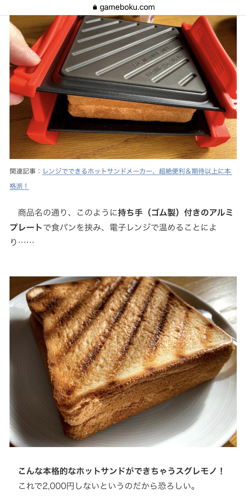 ゲムぼく 火は使いたくないがステーキは食いたいものぐさ人類はレンジ用ホットサンドメーカーを使うと救われることがある T Co Oc0wydah9n Twitter