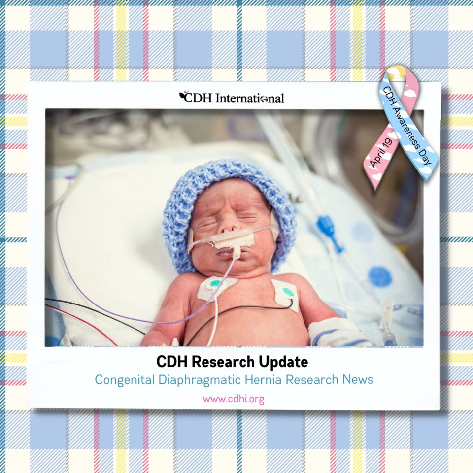 Same baby, different care: variations in practice between neonatologists and pediatric intensivists

cdhi.org/research-same-…

#cdh #cdhi #congenitaldiaphragmatichernia #cdhresearch #cdhiresearch #cdhiukresearch #cdhiuk