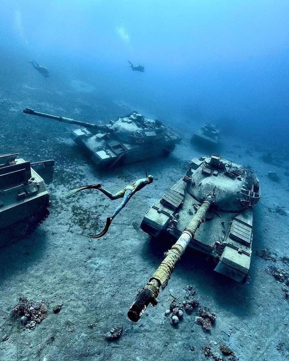 Is this dive site in Jordan on your bucket list yet? Freedivers and scuba divers are welcome! 🤿
📷 IG/alex_dawson_photography