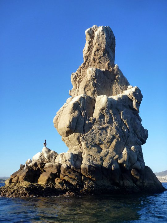 Pelican Rock is one of the famous rock formations in Los Cabos😎