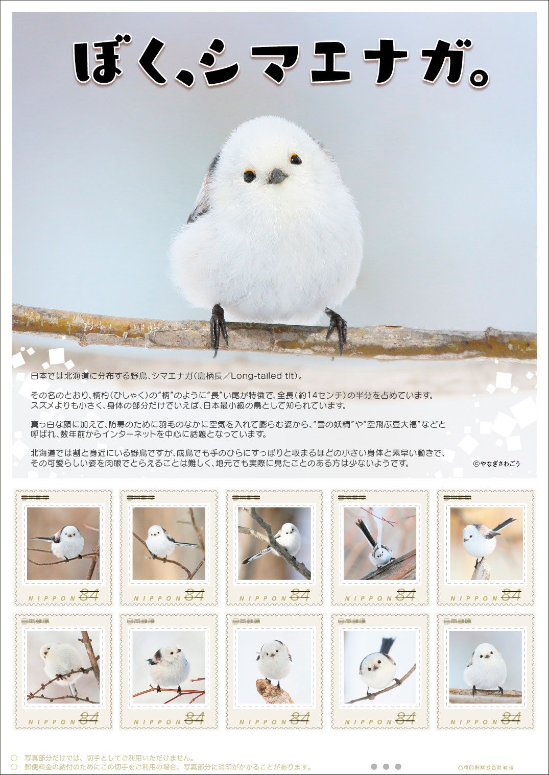 シマエナガ様　材料費ページ ペーパークラフト シマエナガ 鳥 クラフトパンチ しまえなが