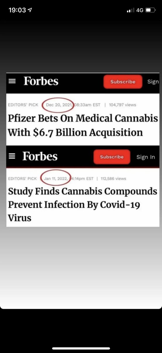 Mario Bihary (@mariobihary) on Twitter photo 