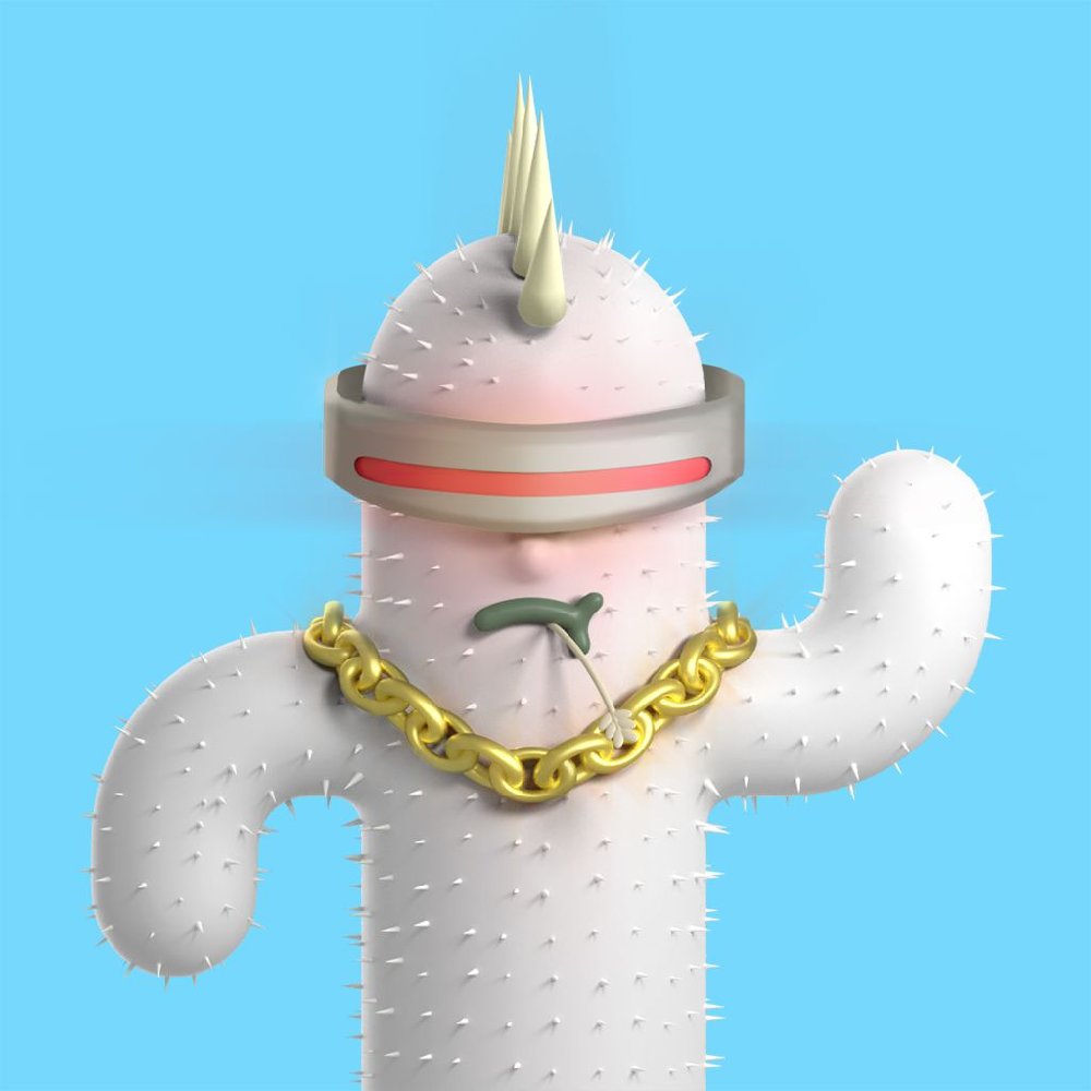 Cacti Club tweet media