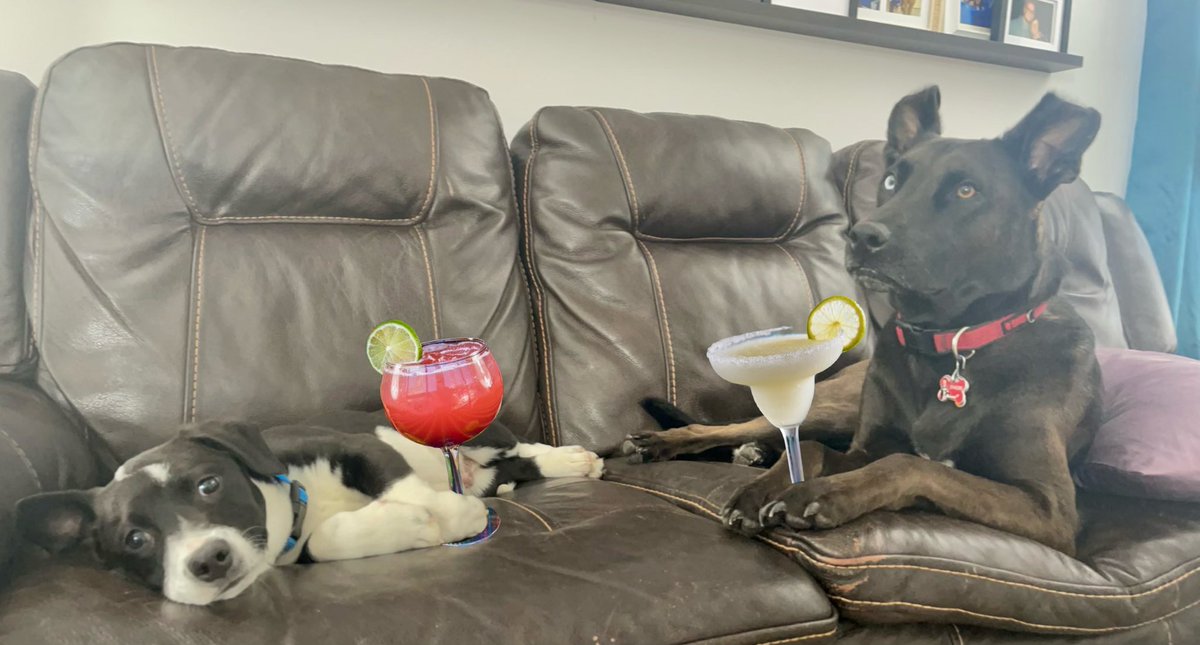 I’m not sure what to say about this interaction but I felt like it needed to be tweeted