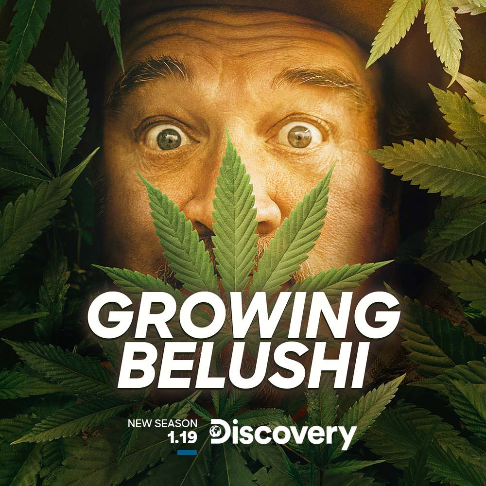 JimBelushi's tweet photo. RT if you’re excited for the season two premiere tonight at 10pm ET on @Discovery!! Make sure to use #GrowingBelushi to tweet along with me! https://t.co/sd4SmnMhGf