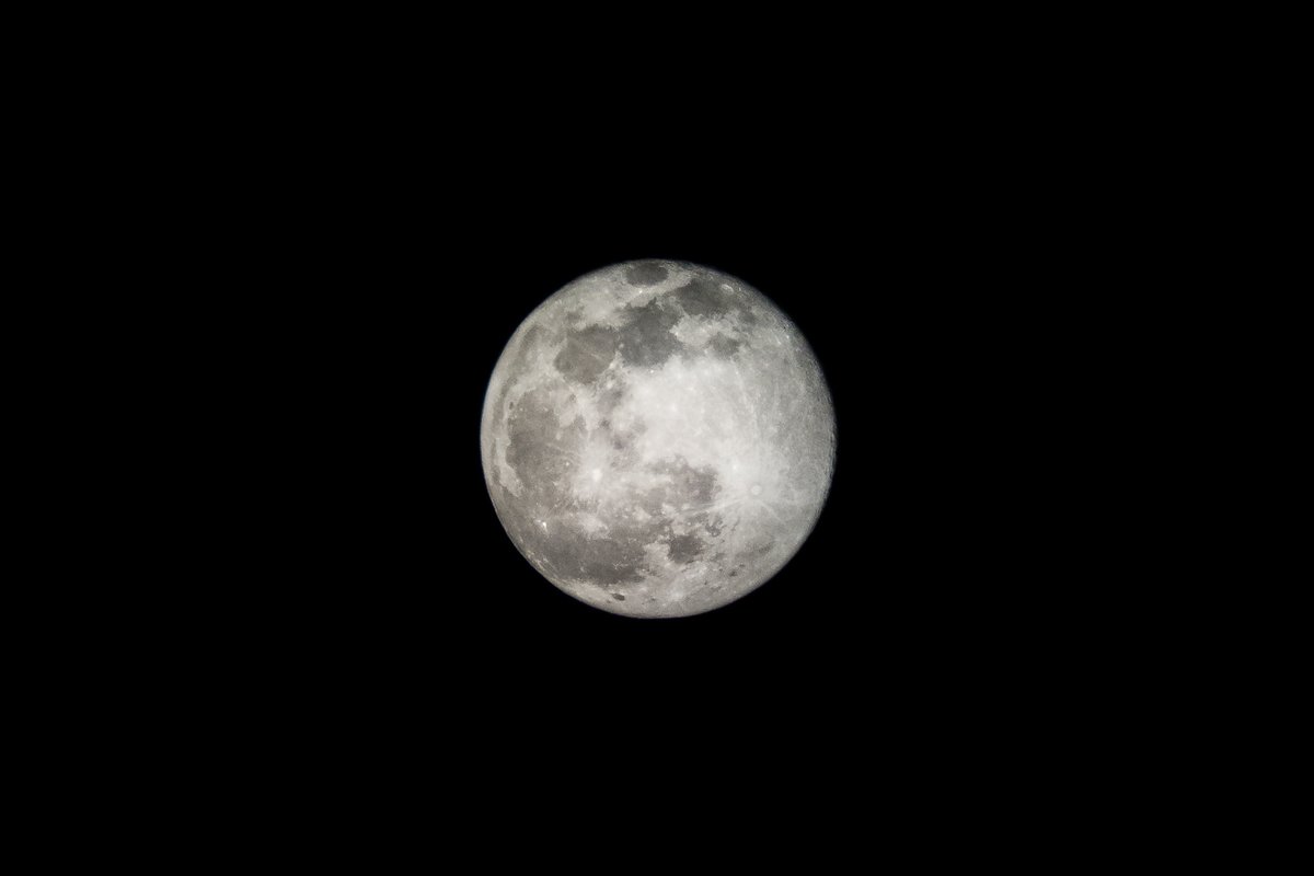 sergicosta's tweet photo. Lluna de Llop, la primera lluna plena de l'any, batejada així pels indis americans pels udols de llop. 🐺🌕 #llunadellop #wolfmoon #llunaplena #fullmoon #lluna #moon #18gen #18jan #mobilephotography #astrophotography https://t.co/Fx2ovhxhpa