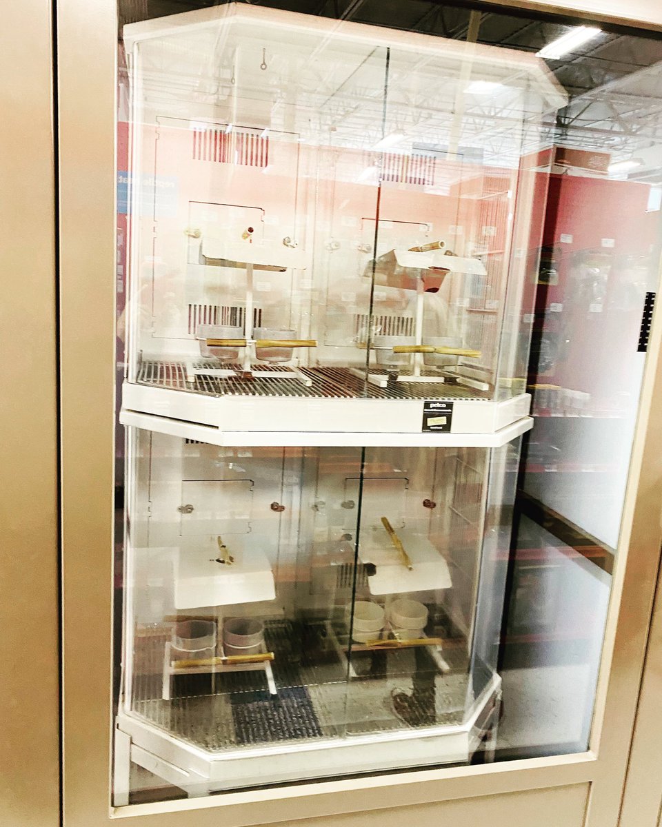 tracicarroll_'s tweet photo. I don’t know about you…But this is a happy moment for me at this chain pet store. No sun conures, no quakers, no more birds sitting in this cage with improper perches, CORN 🌽 COB bedding, and months of waiting for love. It’s a great day to have empty cages. #flockpower https://t.co/sRDEdE13Rw