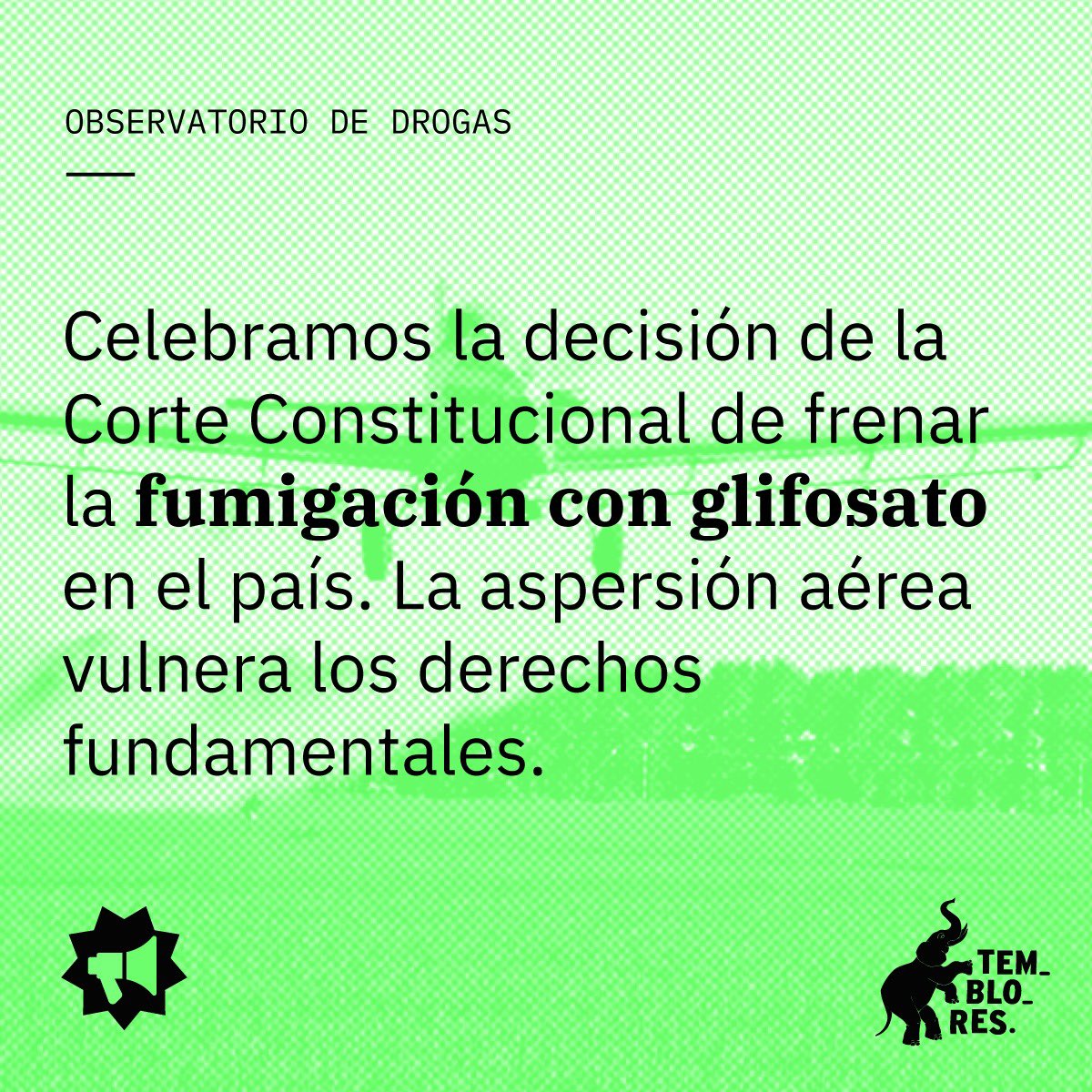TembloresOng's tweet photo. La fumigación aérea con #glifosato es una estrategia fallida en la erradicación de cultivos ilícitos que tiene graves efectos sobre la salud de las personas, así como efectos nocivos en el resto de los cultivos y en el medio ambiente. Celebramos esta decisión de @CConstitucional https://t.co/o4klGxorUW