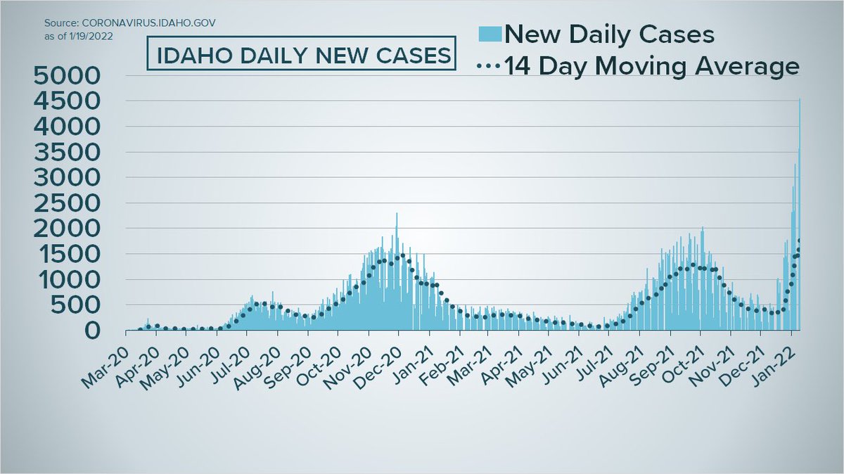 Latest #IdahoCOVID19 numbers:

•4,537 total new cases - a new record

(Previous daily case record was Monday (1/18/22) at 3,555) 

•Due to the recent surge in cases, approx 31,200 outstanding positive lab results are pending

•10 new deaths