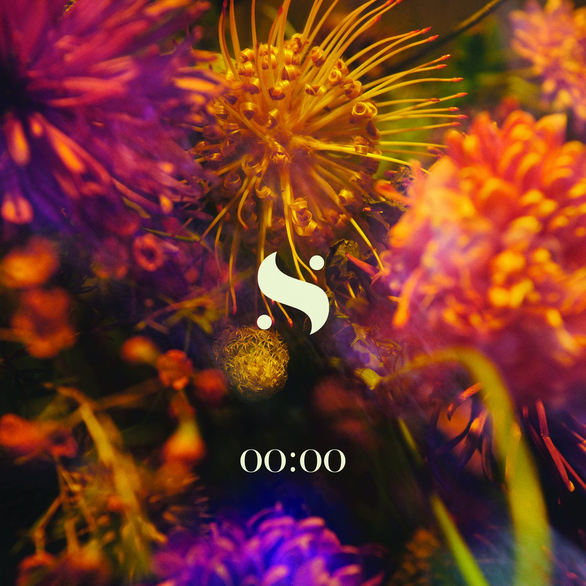 IamSiddhartha's tweet image. Les comparto la portada de #00:00 que está a una semana de salir y ya pueden pre guardarla. 
Estoy muy emocionado por esta canción tiene una cara distinta al resto y le da título al álbum que saldrá en Marzo. Les dejo el link! 
smarturl.it/Siddhartha0000…