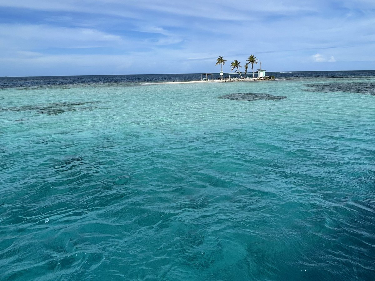 BelizeJanelle's tweet photo. @OceanaBelize The before and now the after. Do you believe in climate change? https://t.co/HFYn9DoBEC