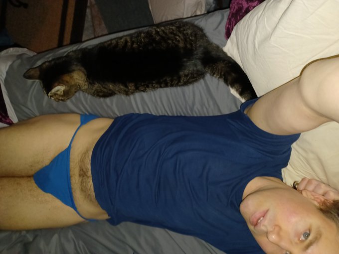 Gus has been next to me a lot today. I think he needs more cuddles :3 https://t.co/1NjVF5Qnqr<a href="/tag/newprofilepic"class="tags"><span>#newprofilepic</span></a>