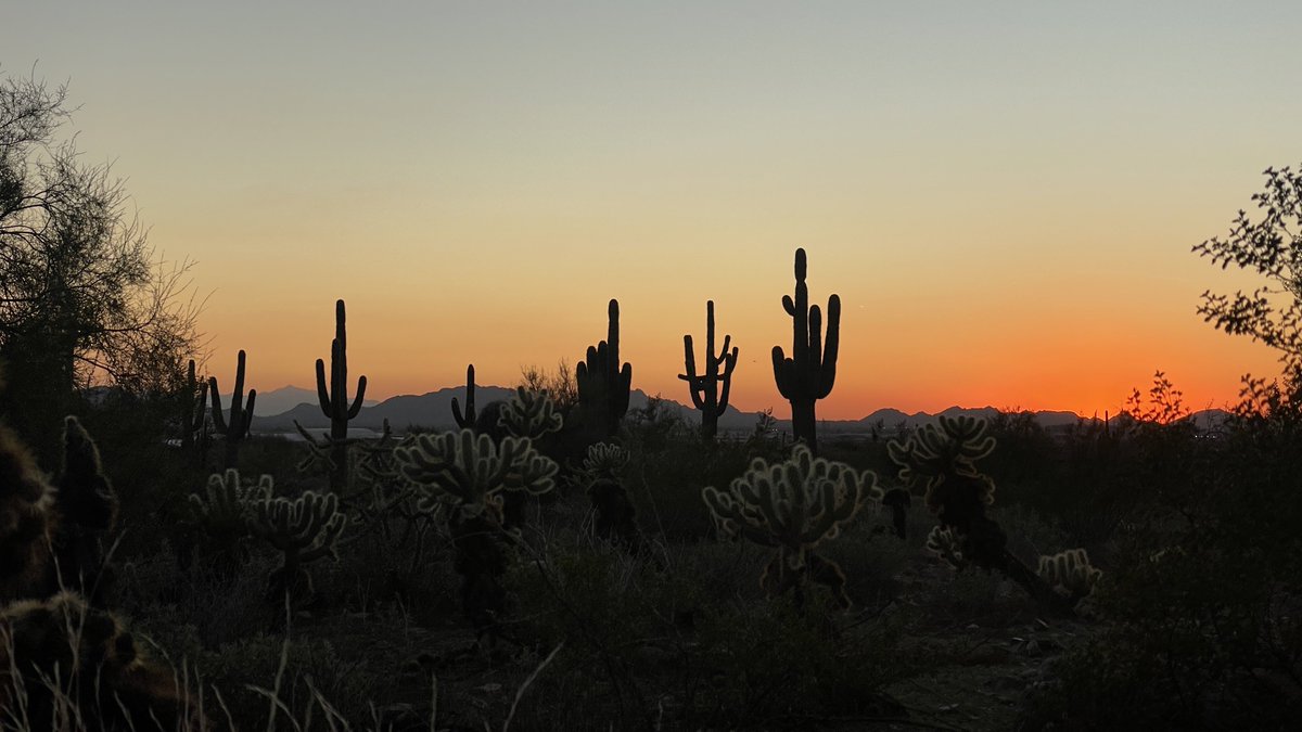 Peter Valencia tweet media