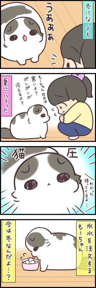 「ポコポコ」が合図。暖かさを熱望する猫もいれば、冷たさを要求する猫もいる 【連載】もふもふスコたん#209|ねこのきもちWEB MAGAZINE https://t.co/AxV9bDBHoC