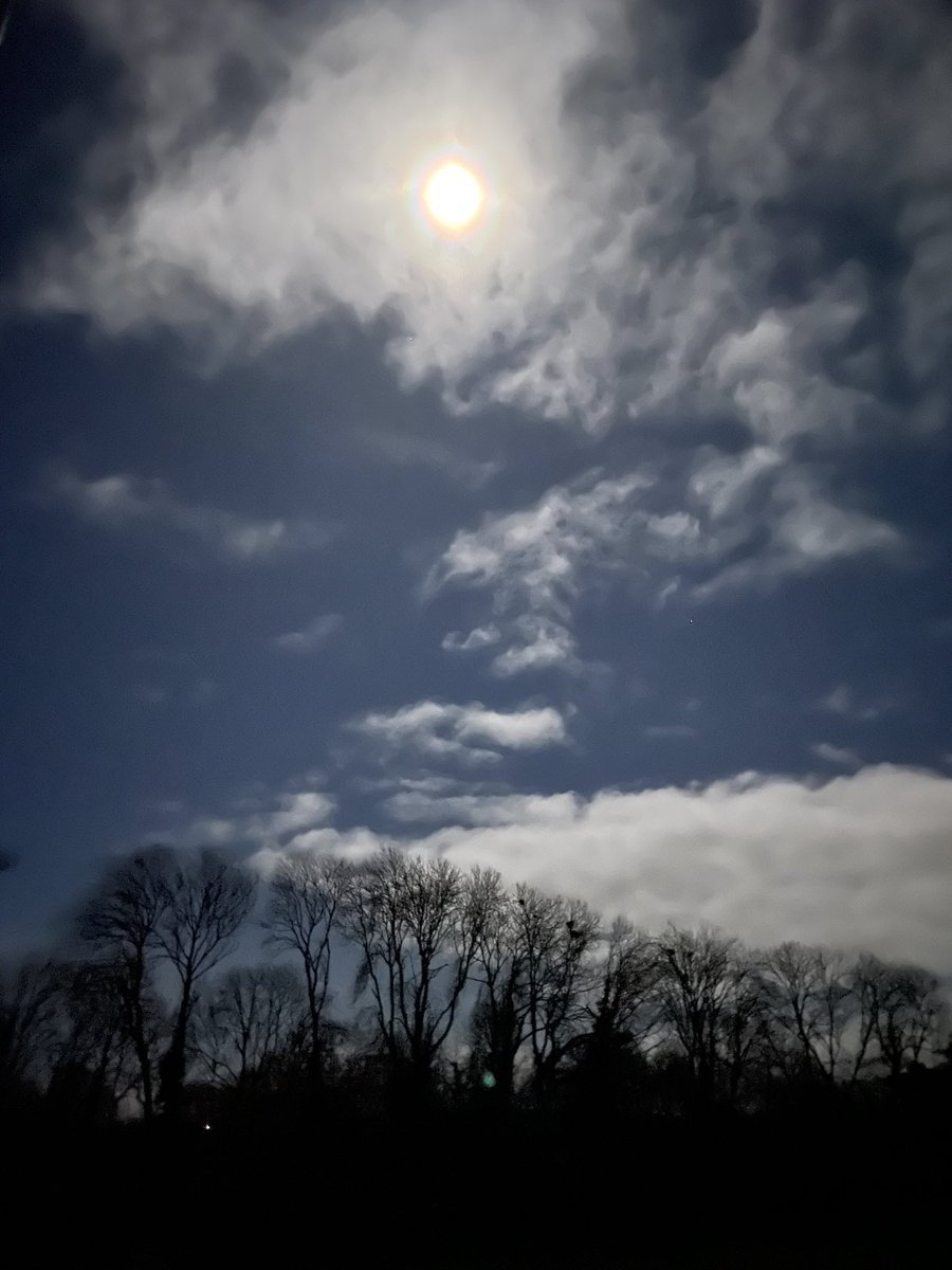 Norma Carr - Raising Vibrations tweet media