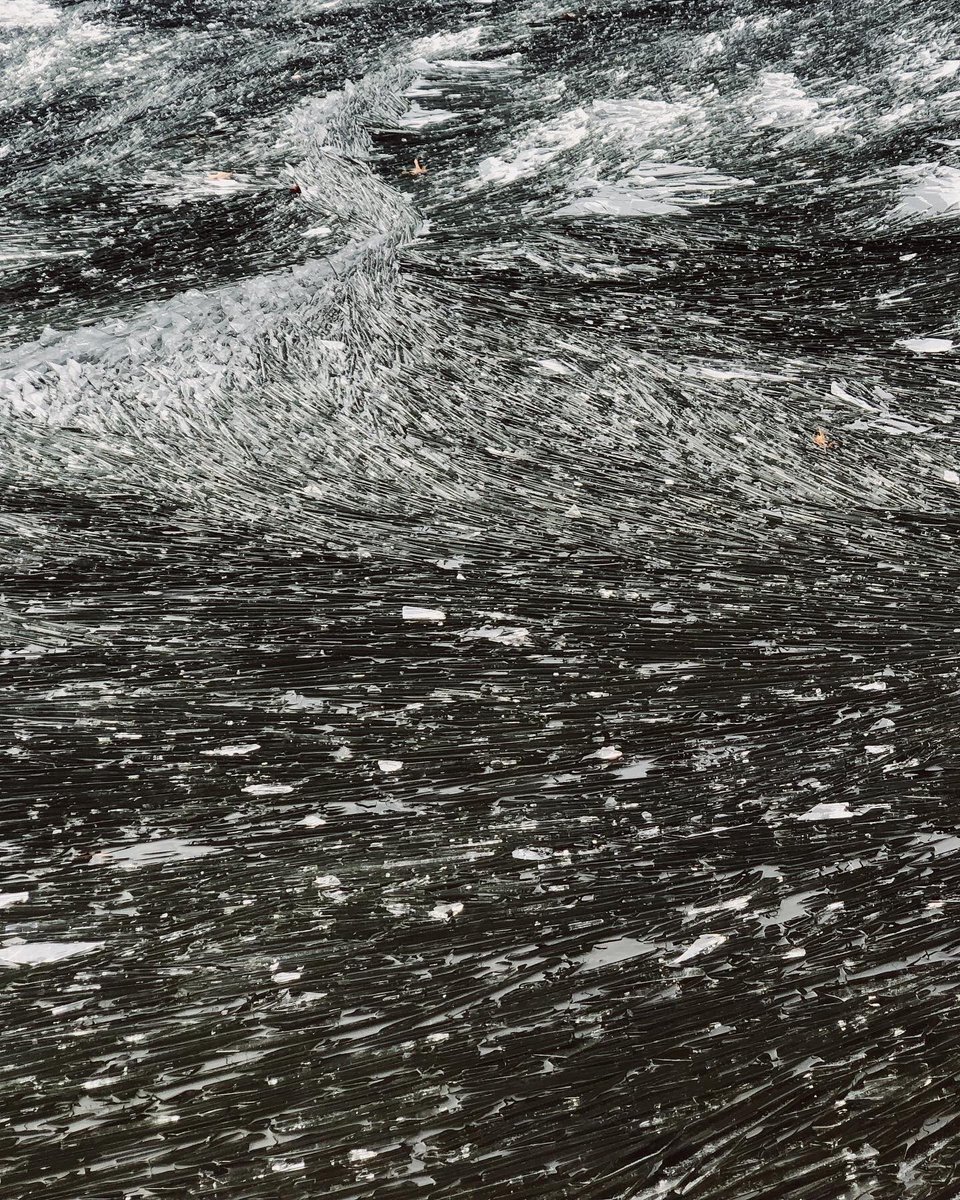 There was an incredibly beautiful assembly of ice broken by the wind on the shore of Jamaica Pond today