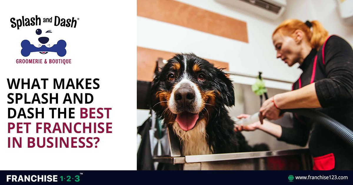 Franchise1_2_3's tweet photo. There are so many pet care businesses to choose from these days, but how do you know which one is right for you?

If you’ve been considering owning your own pet business, @splashanddashfordogs is one of the best in the industry.  

#petfranchise #franchise
https://t.co/s7Tcu8lcO4 https://t.co/oBx2yYUr8h
