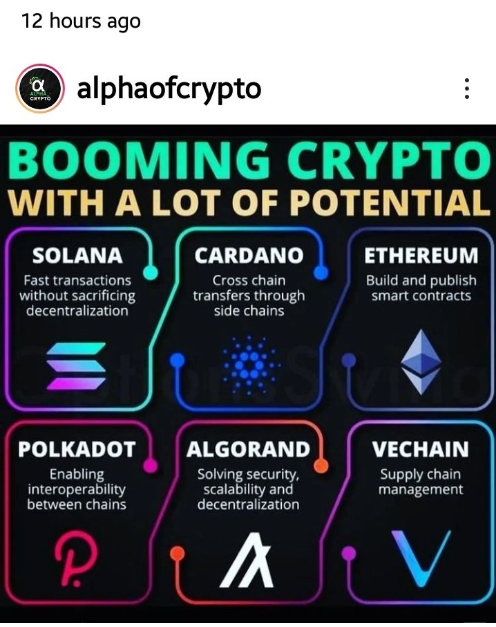crypto4chicks's tweet photo. Hot off the crypto press! https://t.co/ubjpi0awJR