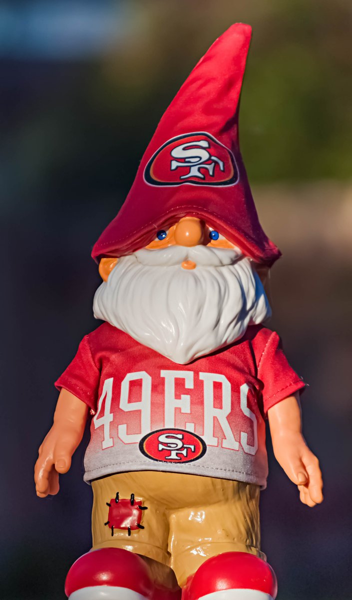 N_B_Photography's tweet photo. my @49ers #gnome is ready for game day! Let's go #49ers! #SackThePack #SFvsGB #SanFrancisco49ers #GameDay #dixon #california #photo #photograph #photography https://t.co/dnRV3CITvu