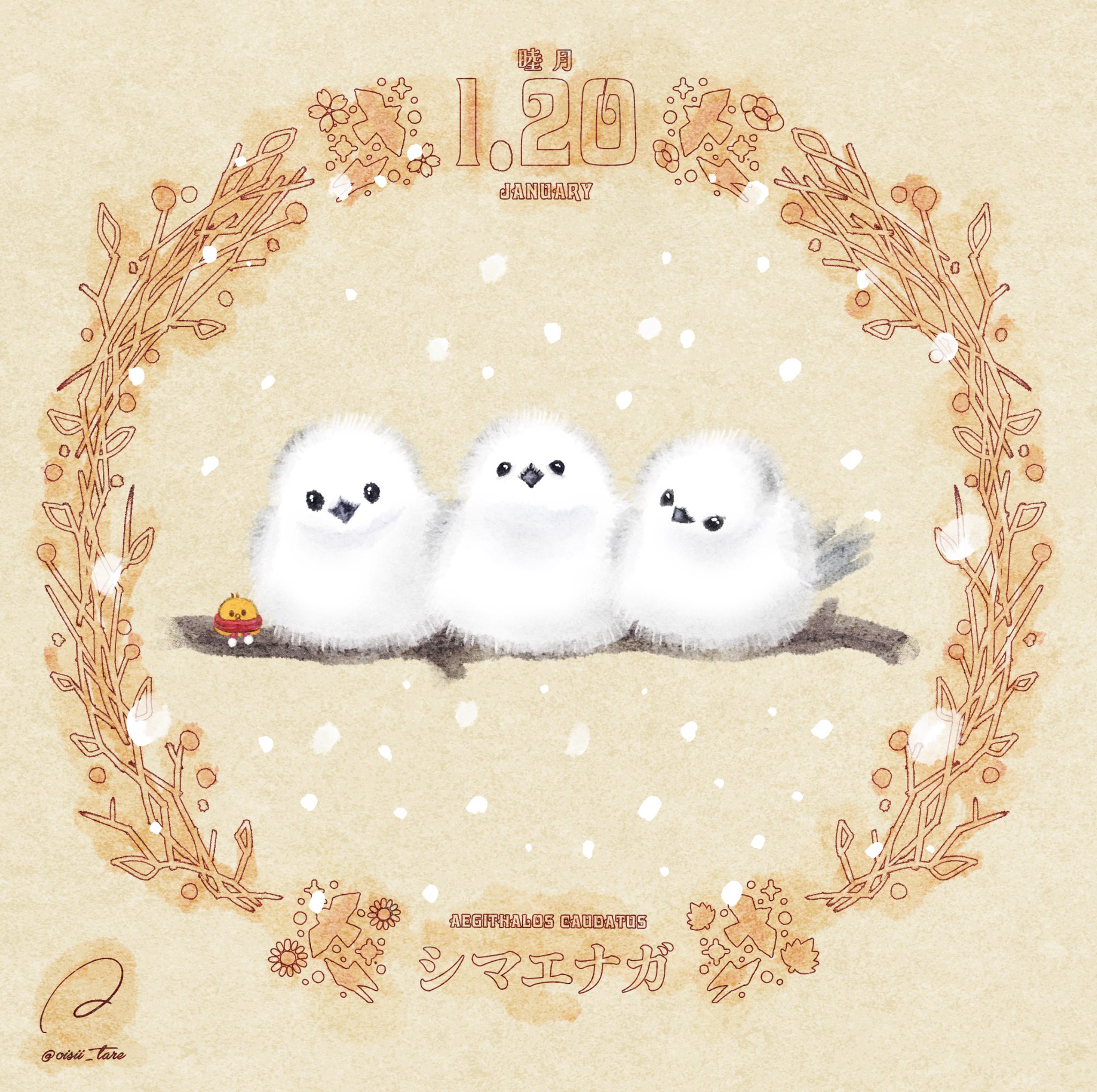 お茶の時間♡シマエナガ&ひよこ お茶の時間♡シマエナガ&ひよこ