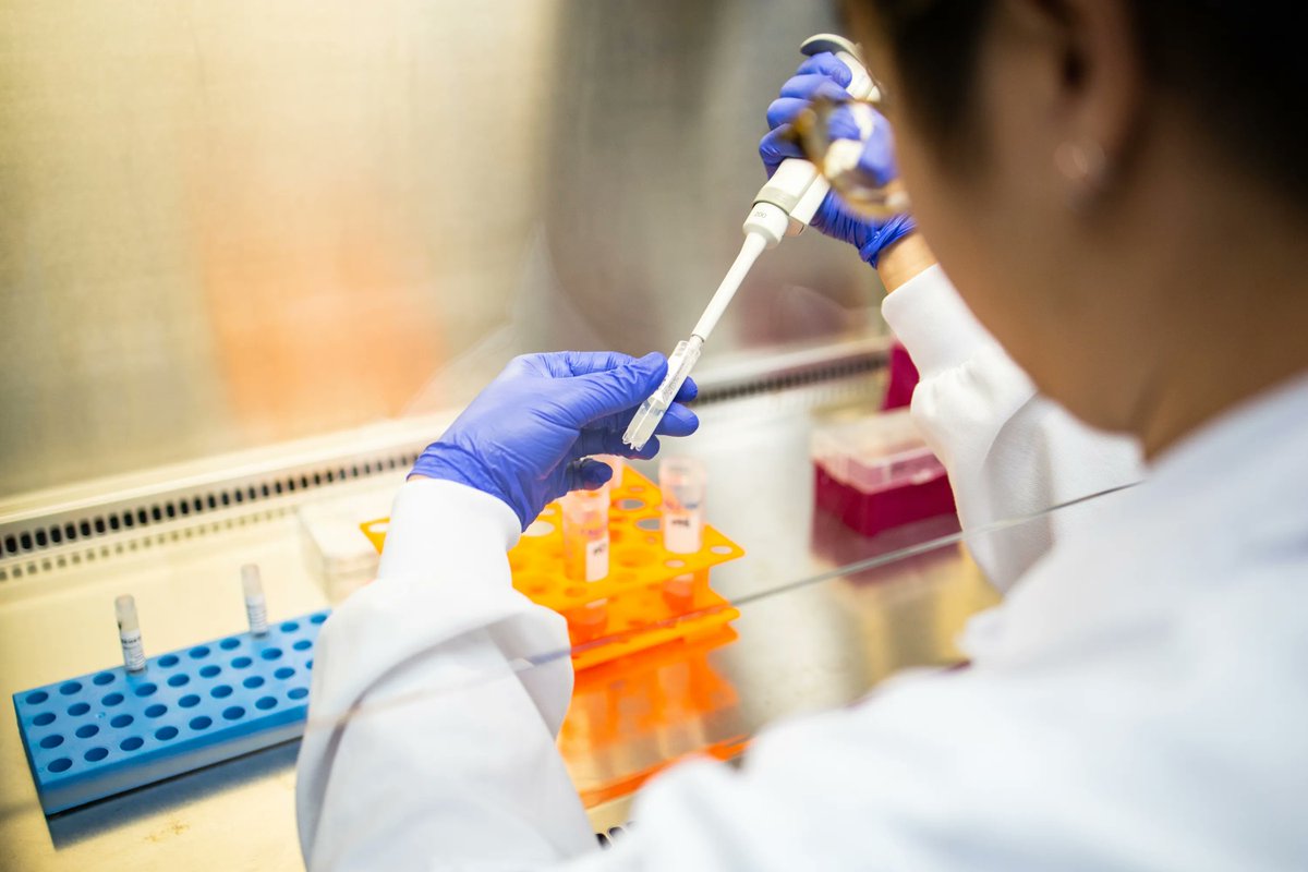 Pictured: Regeneus R&amp;D Scientist Brian Saputro performing quality control on Progenza™ by taking samples for cytokine profile analysis. Learn more about the science behind Regeneus: buff.ly/3fD9L4r #regenmed