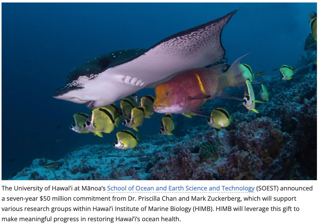 Here at <a href="/himb_soest/">Hawai‘i Institute of Marine Biology</a> we're very excited and grateful for a generous  $15M gift from <a href="/ChanZuckerberg/">Chan Zuckerberg Initiative</a> to expand our science for ocean health and the communities that depend on our ocean resources. Thank you! ow.ly/4Xk650Hyxq9