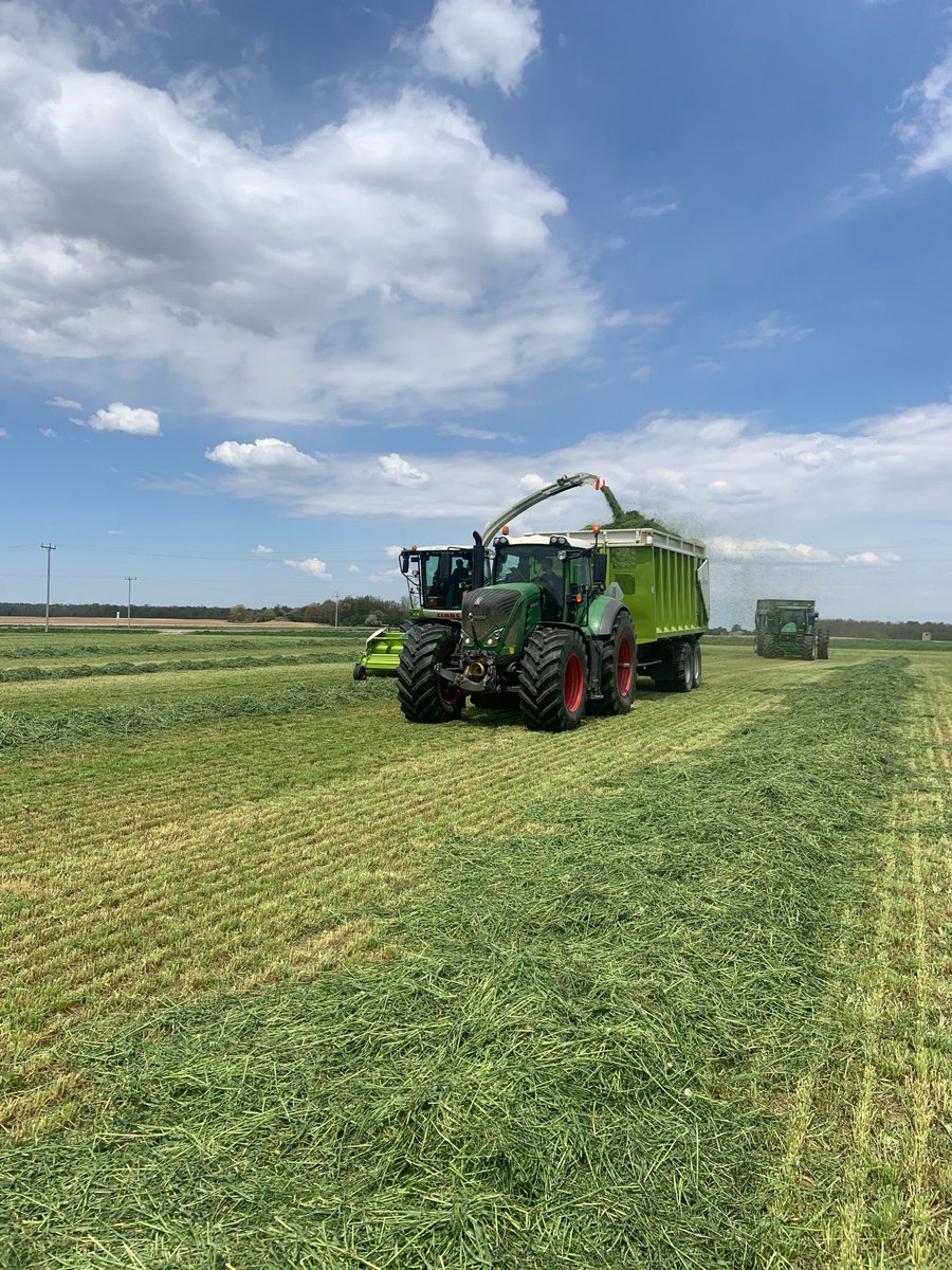 Guntensperger Farm Services has a Full-time position available starting immediately:

Duties include operating and maintaining modern farm equipment. 

Farm experience an asset but willing to train
Competitive Wages 

email resume to : guntensperger.fs@gmail.com