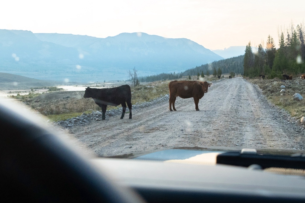 Benchmark Maps tweet media