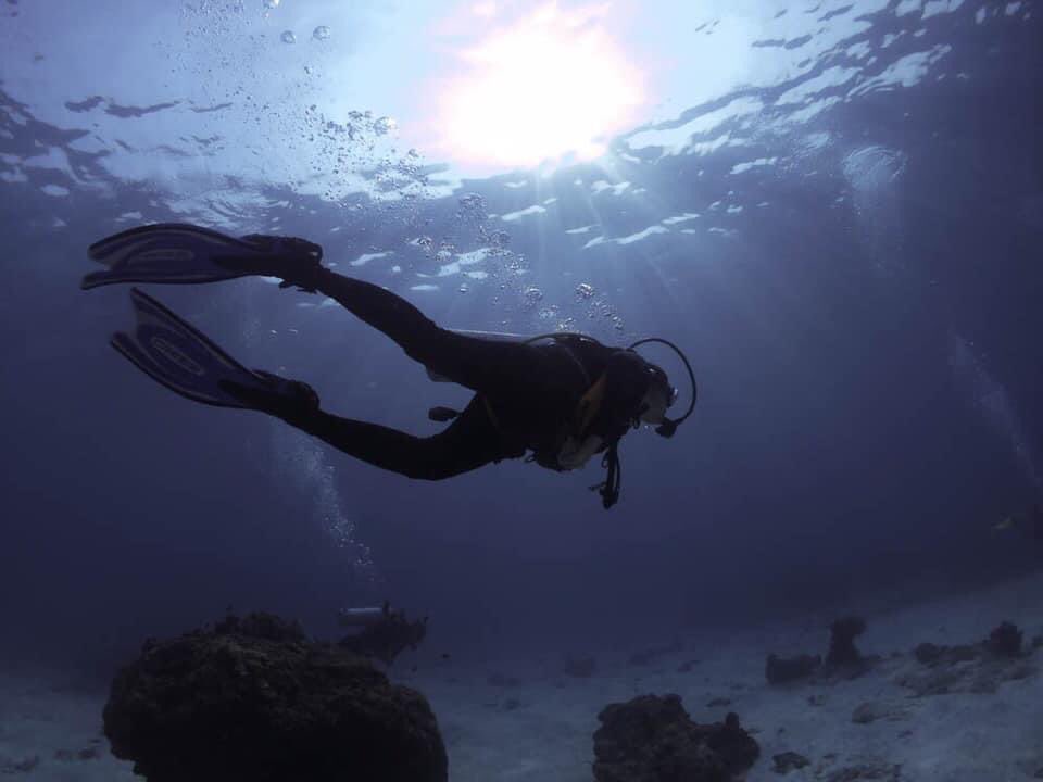 JobcreateNFTs's tweet photo. Diving is so therapeutic 
#catherapy https://t.co/BVS0p7ZX7v