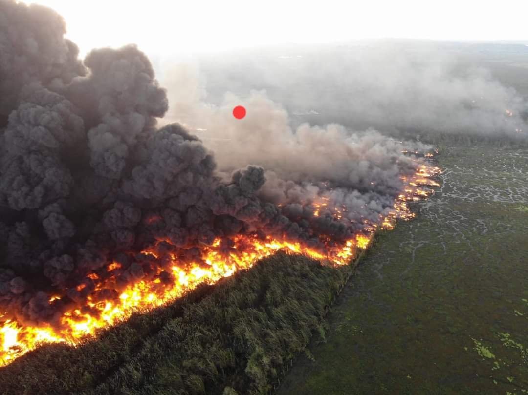 xevtfm's tweet photo. #EnFotos 📸 Así se vio la explosión de un ducto de @Pemex en Villa La Venta, #Huimanguillo 🔥

Las columnas de humo se podían apreciar desde la carretera #Villahermosa-#Coatzacoalcos https://t.co/NDjqIyXA0W