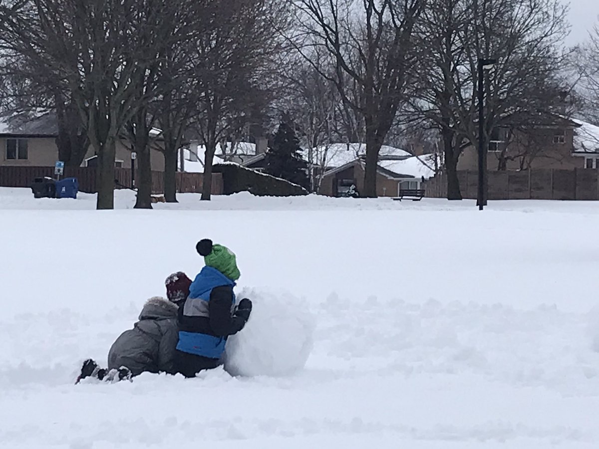 North Bendale tweet media