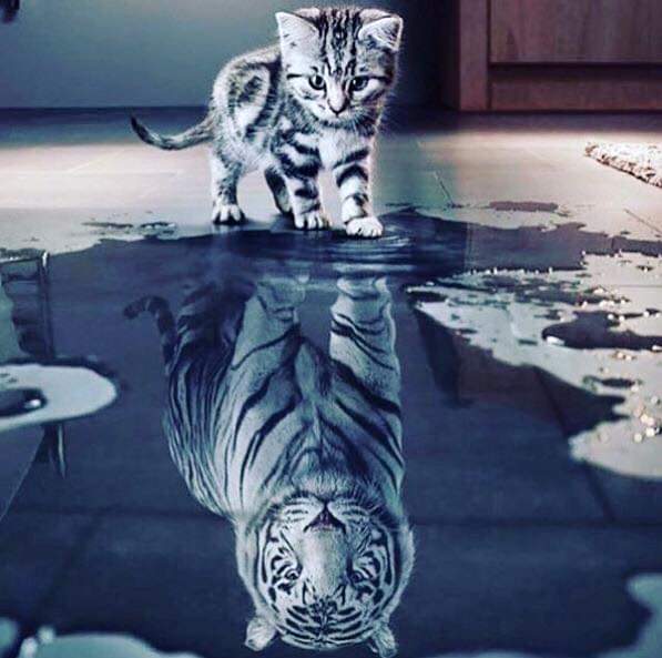 Sanal yansimalara da günaydın!