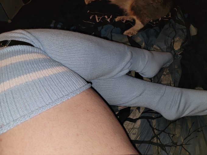 Peets and paws 💚 https://t.co/A5v2knJaRs<a href="/tag/tummytuesday"class="tags"><span>#tummytuesday</span></a>