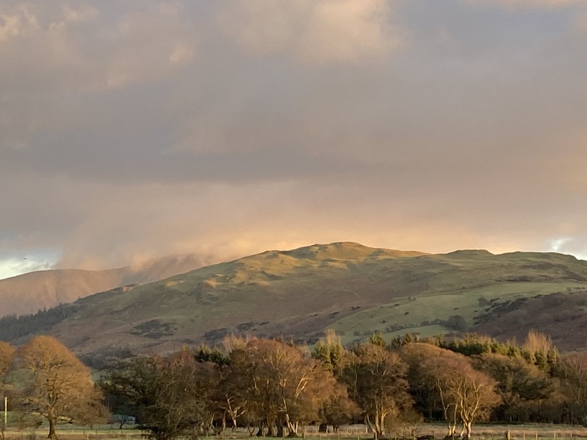 QueripelGraham's tweet image. The star of another nice day in The Lake District #LakeDistrict #theduneshotel #sunrise #Cumbria
